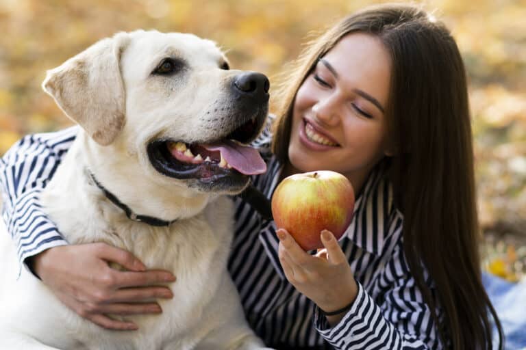 hund obst und gemüse